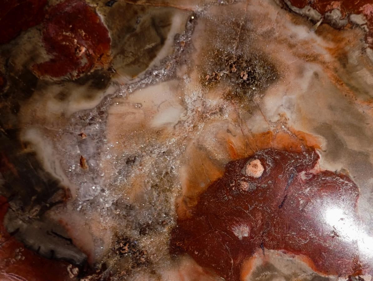 Polished Red Podocarpus Petrified Wood Bowls x 2 From Mahajanga, Madagascar - Toprock Gemstones and Minerals 