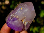 Polished Window Crystals x 24 From Akansobe, Madagascar - Toprock Gemstones and Minerals 