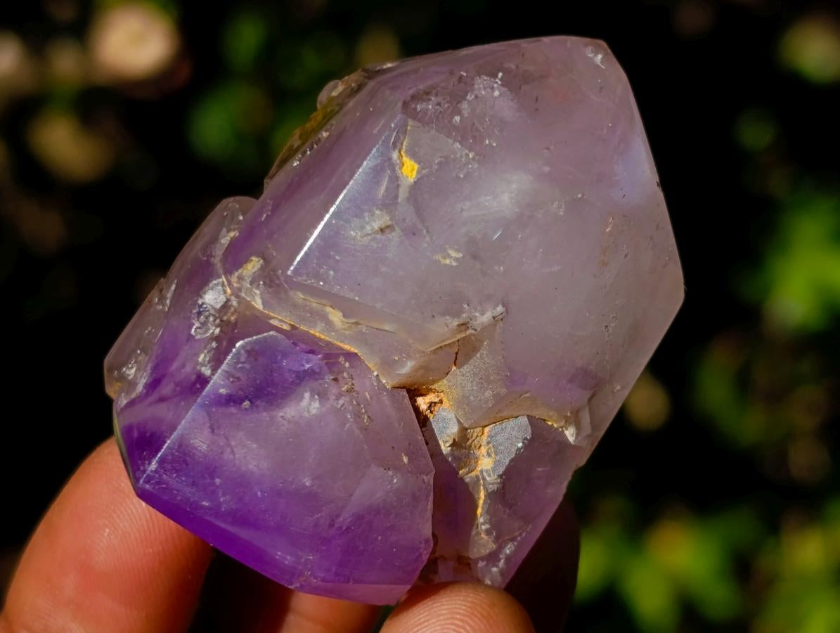 Polished Window Crystals x 24 From Akansobe, Madagascar - Toprock Gemstones and Minerals 