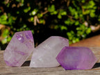 Polished Window Crystals x 24 From Akansobe, Madagascar - Toprock Gemstones and Minerals 