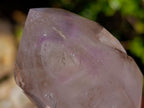 Polished Window Crystals x 24 From Akansobe, Madagascar - Toprock Gemstones and Minerals 