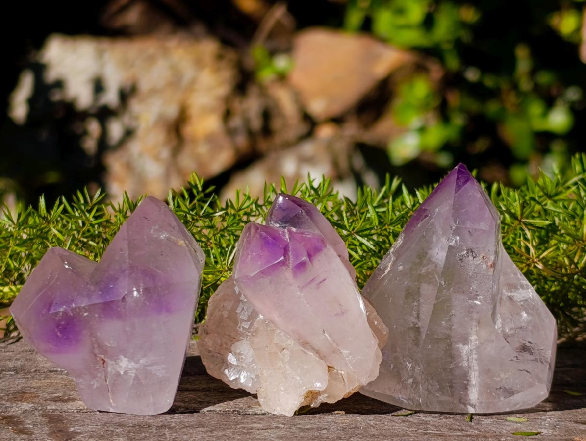 Polished Window Crystals x 24 From Akansobe, Madagascar - Toprock Gemstones and Minerals 