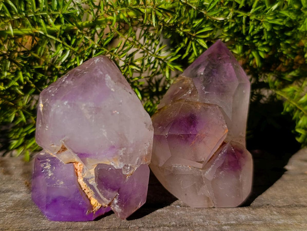 Polished Window Crystals x 24 From Akansobe, Madagascar - Toprock Gemstones and Minerals 
