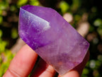 Polished Window Crystals x 24 From Akansobe, Madagascar - Toprock Gemstones and Minerals 