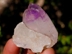 Polished Window Crystals x 24 From Akansobe, Madagascar - Toprock Gemstones and Minerals 