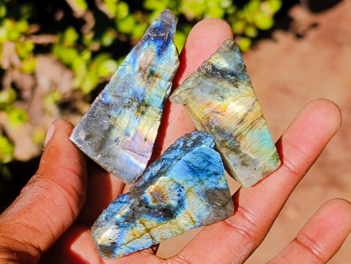 Polished Labradorite Slices x 70 From Madagascar - Toprock Gemstones and Minerals 