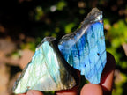 Polished Labradorite Slices x 70 From Madagascar - Toprock Gemstones and Minerals 
