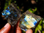 Polished Labradorite Slices x 70 From Madagascar - Toprock Gemstones and Minerals 