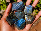 Polished Labradorite Slices x 70 From Madagascar - Toprock Gemstones and Minerals 