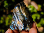 Polished Labradorite Slices x 70 From Madagascar - Toprock Gemstones and Minerals 