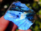 Polished Labradorite Slices x 70 From Madagascar - Toprock Gemstones and Minerals 