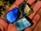 Polished Labradorite Slices x 70 From Madagascar - Toprock Gemstones and Minerals 
