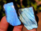 Polished Labradorite Slices x 70 From Madagascar - Toprock Gemstones and Minerals 