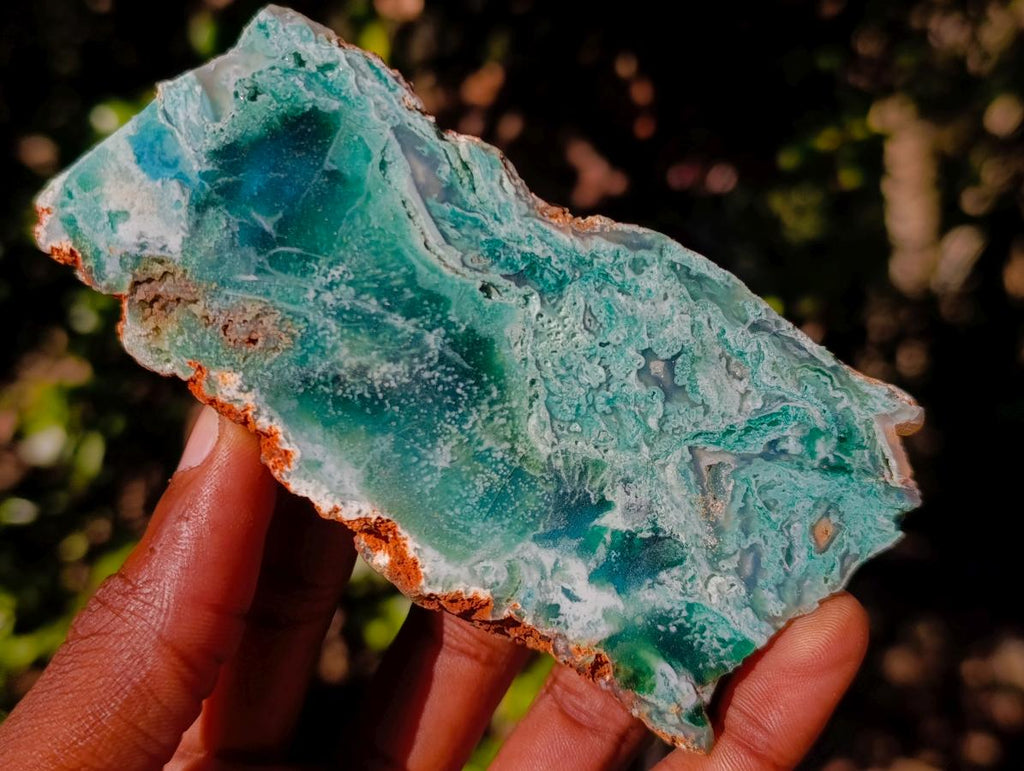 Polished on One Side Mtorolite Chrysoprase Slices x 6 From Mutorashanga, Zimbabwe