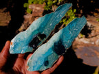 Polished on One Side Mtorolite Chrysoprase Slices x 6 From Mutorashanga, Zimbabwe