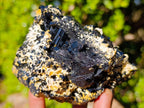 Natural Schorl Black Tourmaline Specimens with Associated Minerals x 2 From Erongo, Namibia