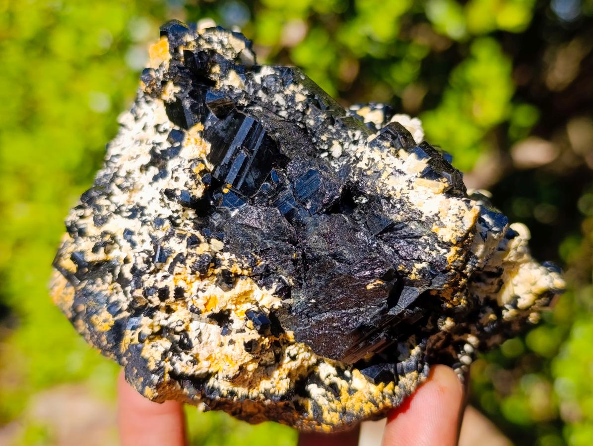 Natural Schorl Black Tourmaline Specimens with Associated Minerals x 2 From Erongo, Namibia