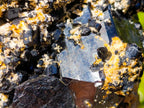 Natural Schorl Black Tourmaline Specimens with Associated Minerals x 2 From Erongo, Namibia