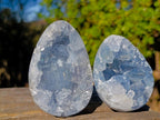 Polished and Natural Blue Celestite Eggs x 6 From Sakoany, Madagascar