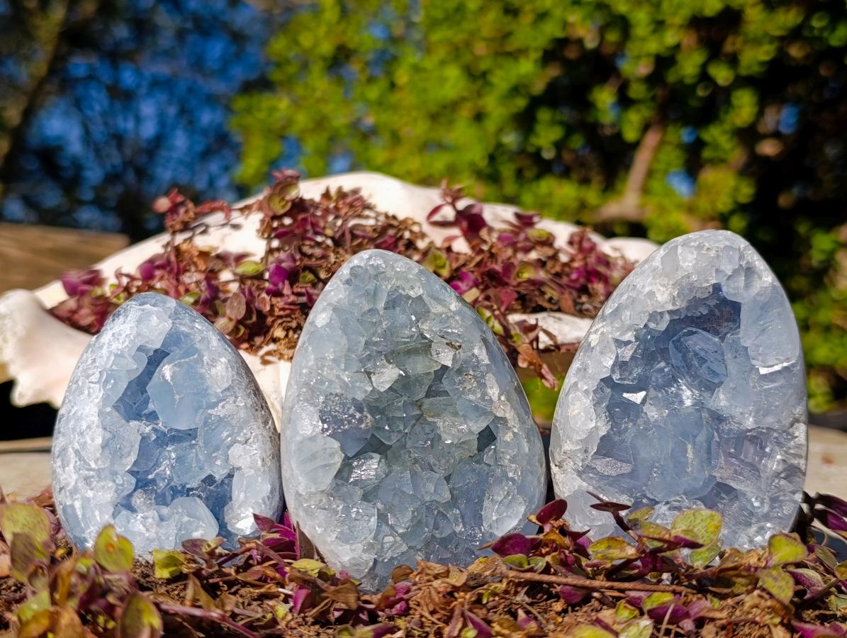 Polished and Natural Blue Celestite Eggs x 6 From Sakoany, Madagascar