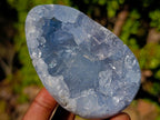Polished and Natural Blue Celestite Eggs x 6 From Sakoany, Madagascar