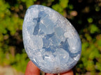 Polished and Natural Blue Celestite Eggs x 6 From Sakoany, Madagascar