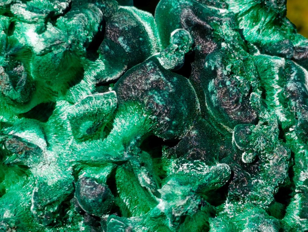 Natural Large Silky Malachite Specimen x 1 From Kasompe, Congo