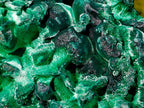 Natural Large Silky Malachite Specimen x 1 From Kasompe, Congo
