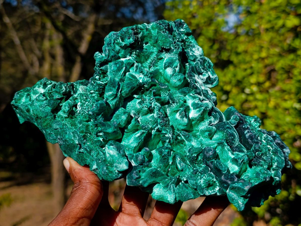 Natural Large Silky Malachite Specimen x 1 From Kasompe, Congo