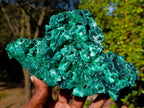 Natural Large Silky Malachite Specimen x 1 From Kasompe, Congo