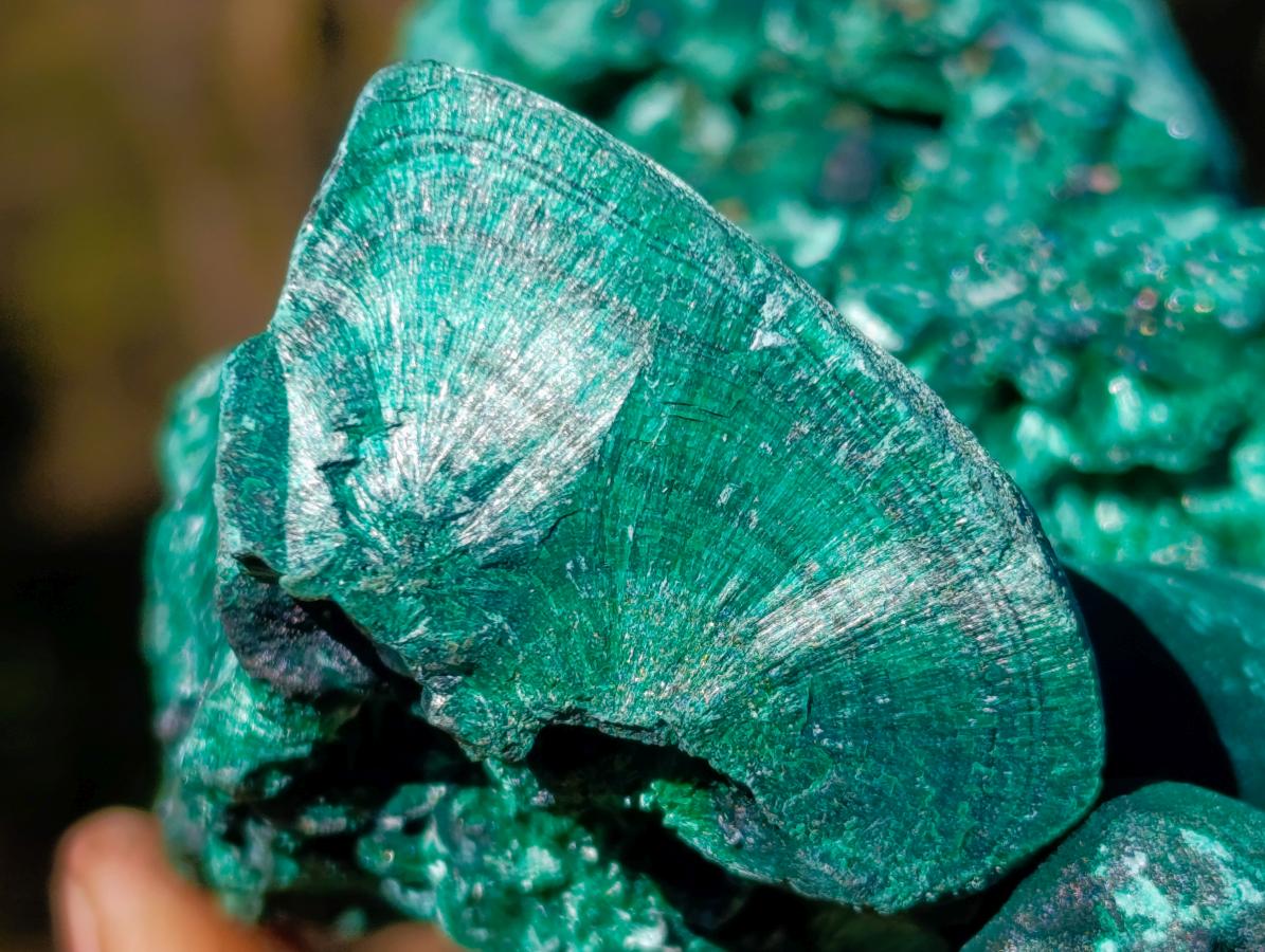 Natural Large Silky Malachite Specimen x 1 From Kasompe, Congo
