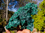 Natural Large Silky Malachite Specimen x 1 From Kasompe, Congo