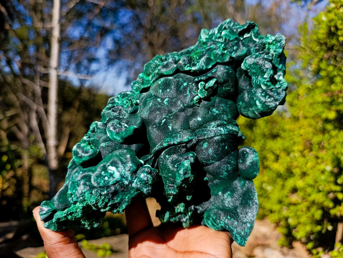 Natural Large Silky Malachite Specimen x 1 From Kasompe, Congo