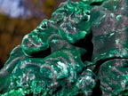 Natural Large Silky Malachite Specimen x 1 From Kasompe, Congo