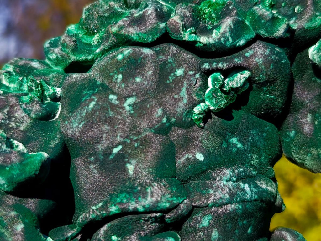 Natural Large Silky Malachite Specimen x 1 From Kasompe, Congo
