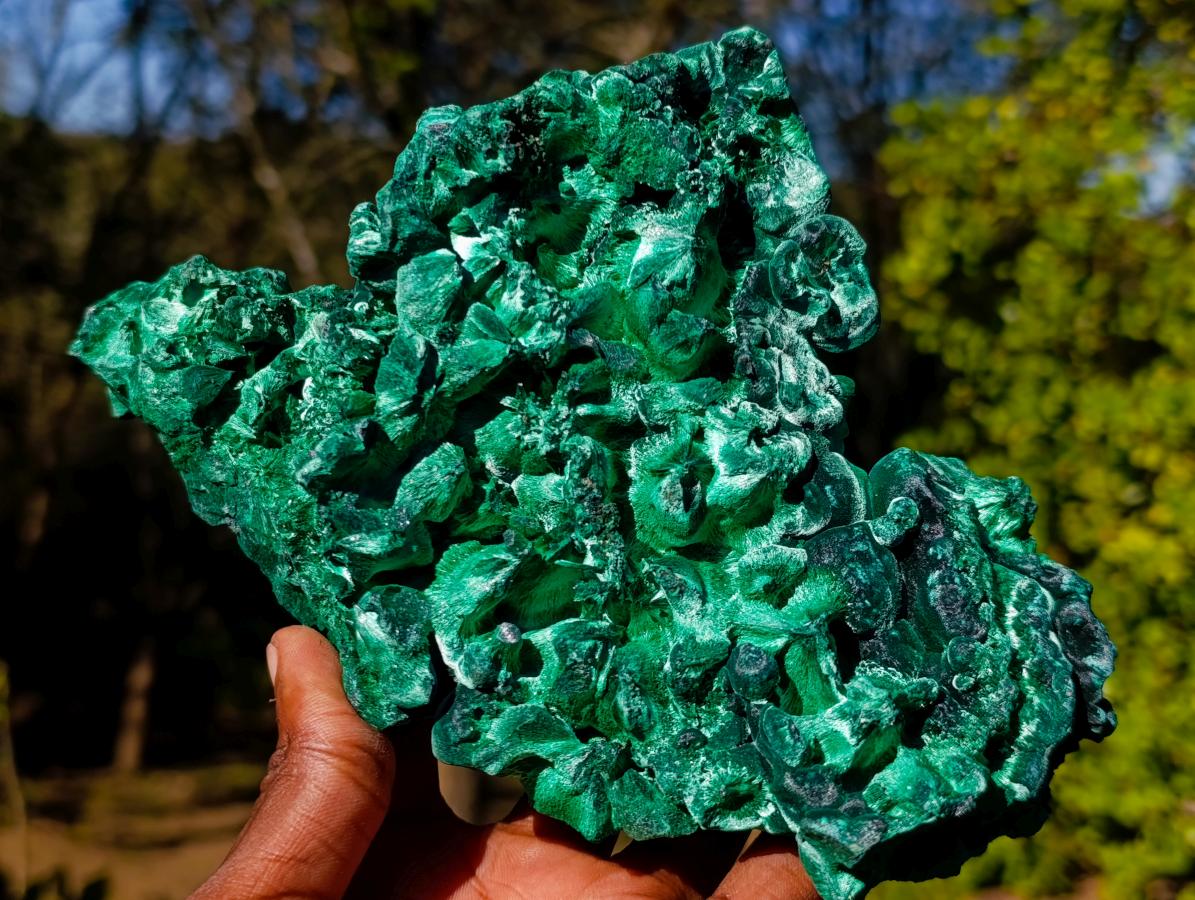 Natural Large Silky Malachite Specimen x 1 From Kasompe, Congo
