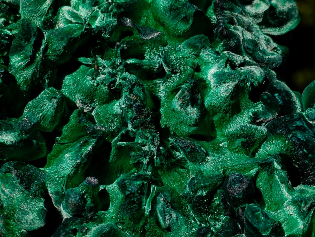 Natural Large Silky Malachite Specimen x 1 From Kasompe, Congo
