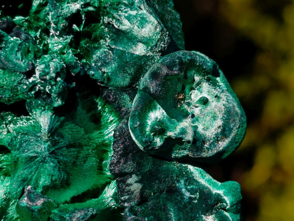 Natural Large Silky Malachite Specimen x 1 From Kasompe, Congo