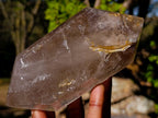 Polished Smokey Quartz Mixed Crystals x 3 From Madagascar
