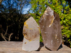 Polished Smokey Quartz Mixed Crystals x 3 From Madagascar