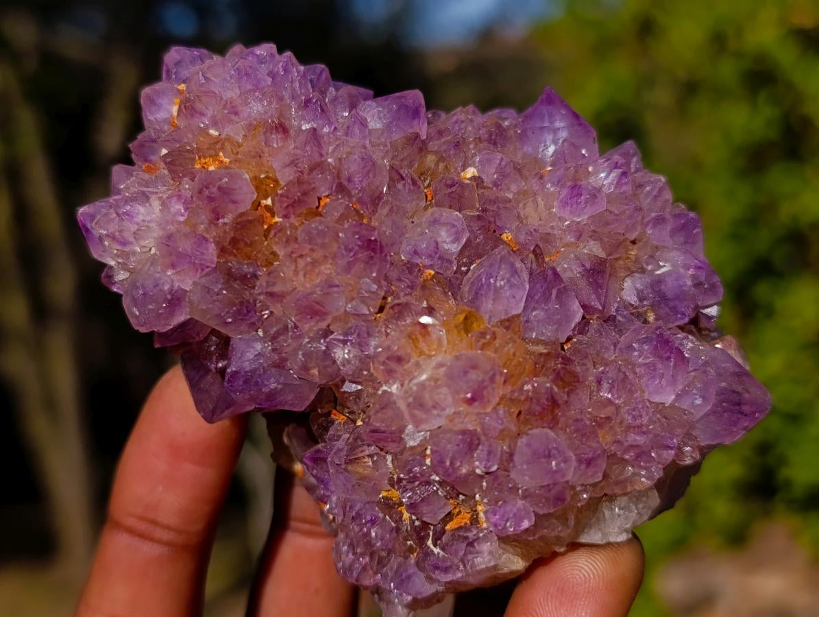 Natural Spirit Amethyst Clusters x 6 From Boekenhouthoek, South Africa