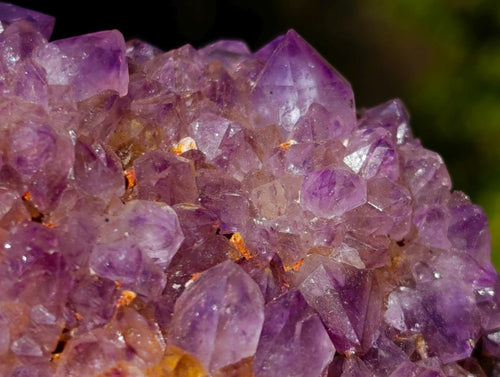 Natural Spirit Amethyst Clusters x 6 From Boekenhouthoek, South Africa - Toprock Gemstones and Minerals 