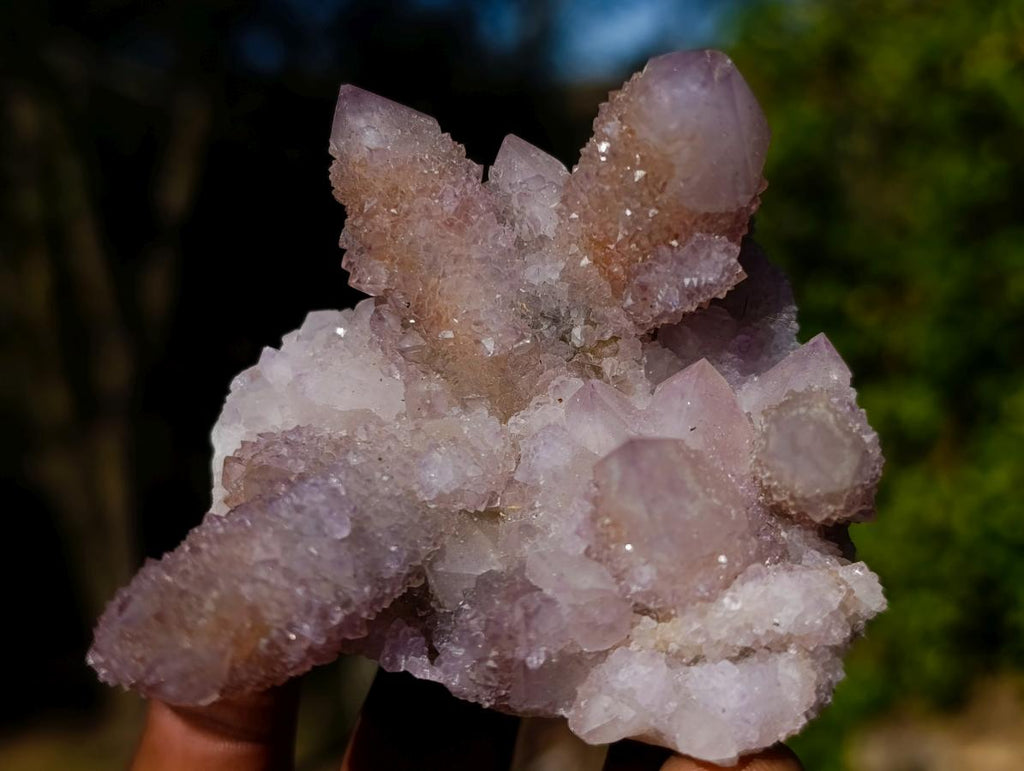 Natural Spirit Amethyst Clusters x 6 From Boekenhouthoek, South Africa