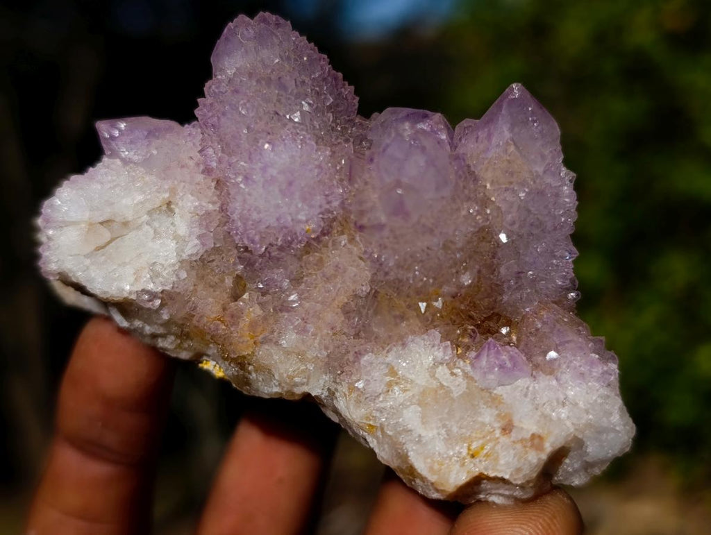 Natural Spirit Amethyst Clusters x 6 From Boekenhouthoek, South Africa
