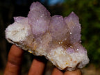 Natural Spirit Amethyst Clusters x 6 From Boekenhouthoek, South Africa