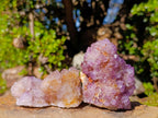 Natural Spirit Amethyst Clusters x 6 From Boekenhouthoek, South Africa