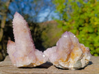 Natural Spirit Amethyst Clusters x 6 From Boekenhouthoek, South Africa