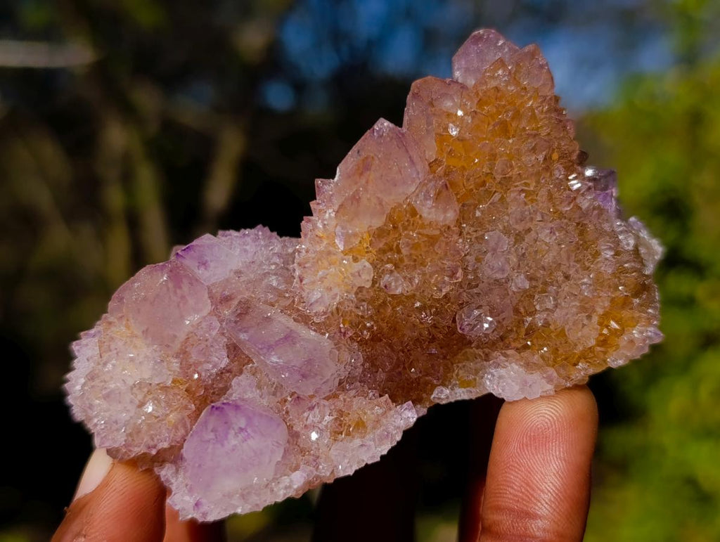 Natural Spirit Amethyst Clusters x 6 From Boekenhouthoek, South Africa