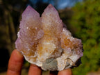 Natural Spirit Amethyst Clusters x 6 From Boekenhouthoek, South Africa