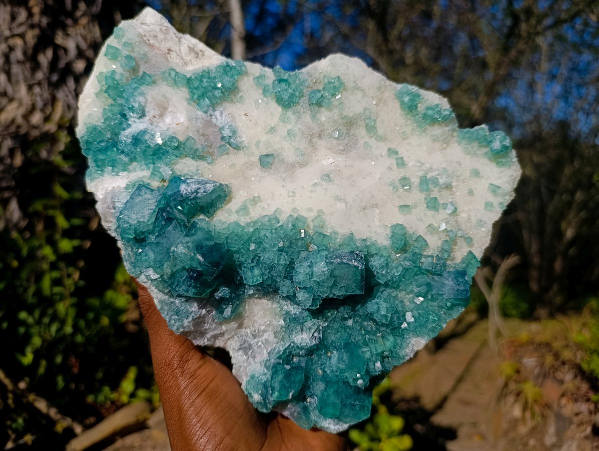 Natural Large Green Cubic Fluorite Specimen x 1 From Mandrosonoro, Madagascar